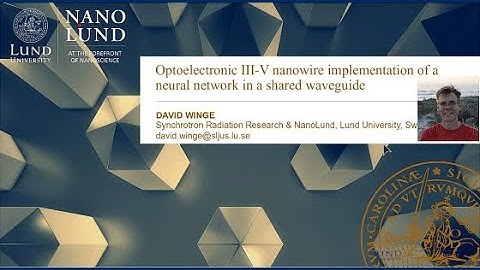 IS04 Optoelectronic III-V nanowire implementation of a neural network in a shared waveguide