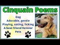 Understanding Didactic Cinquain Poems