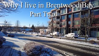 Walking with Bruce. Why I live in Brentwood Bay Part Two, Vancouver Island British Columbia.