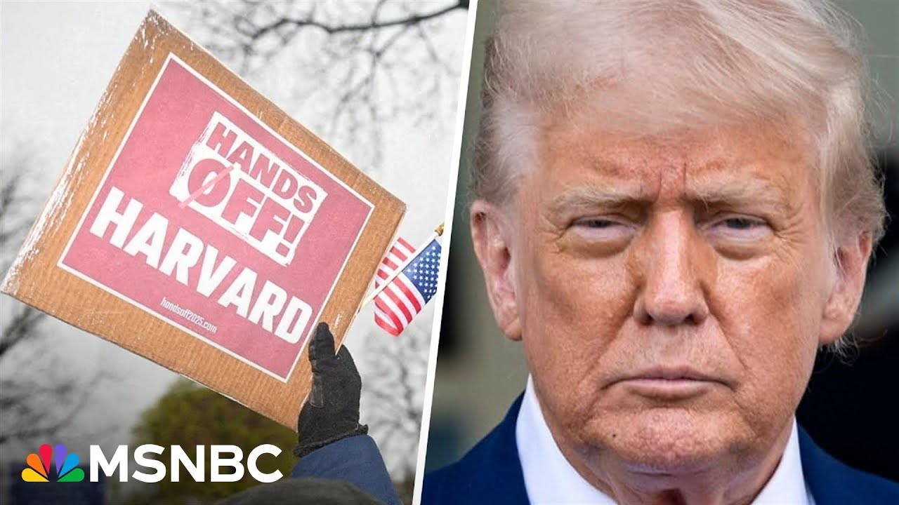 ‘Moment of confusion and anxiety’: Harvard student speaks out on Trump targeting student visas