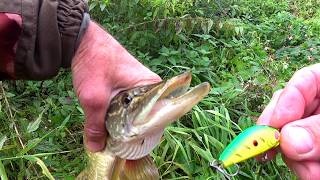 NEW LOCATIONS. SPIN FISHING AND MORMISHING. Fishing on a small river.