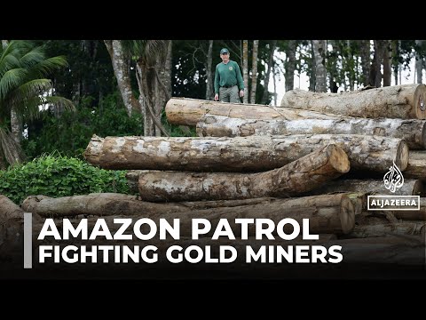 Patrolling the Amazon rainforest: Brazil's environmental agency tackles illegal mining
