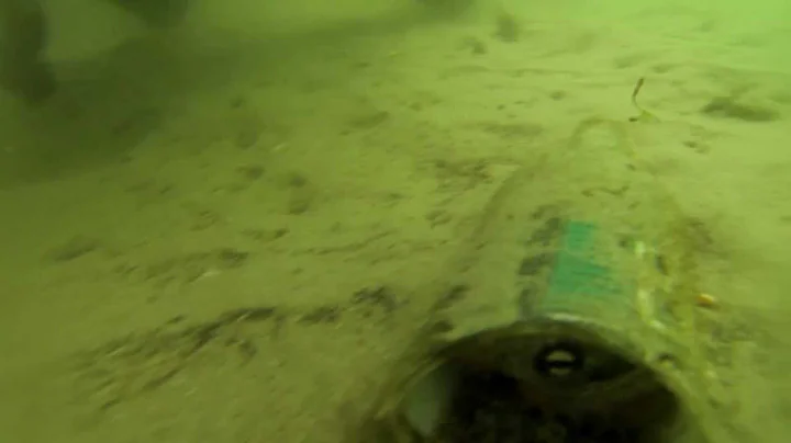 Octopus living in a beer bottle