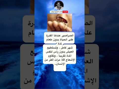 الصراصير عندها القدرة على الحياة بدون طعام لمدةشهر كامل وتستطيع العيش بدون رأس