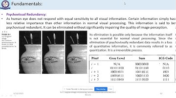 Pschyovisual Redundancy