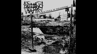 Bleeding Rake - Zoo Station