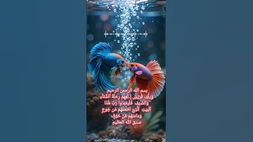 سورة قريش مكتوبة و كاملة #سورة_قريش #قران_كريم #سورة #قرآن