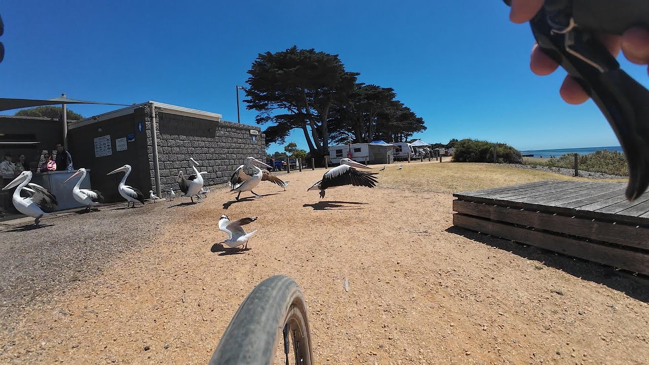 Cycling motivation - Awesome Gravel ride on Bellarine Peninsular, POV