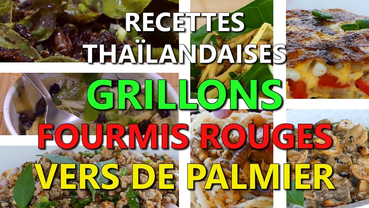 Insectes comestibles : Gastronomie : Thaïlande 