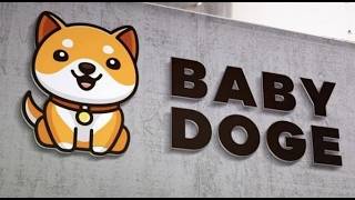 THE NEXT BABYDOGE PUMP WILL BE INSANE!