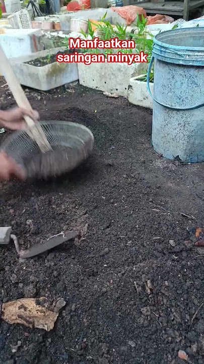 manfaatkan saringan minyak#shorst #gardening #caramerawattanaman