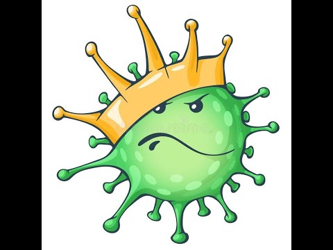 ვირუსები 1