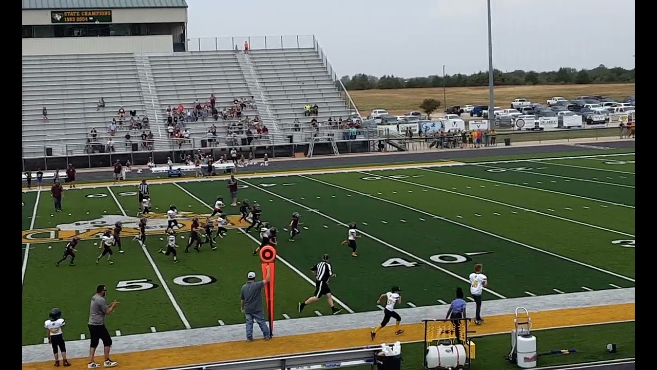 Dragon Nation (Gone in a flash you can never be to fast )