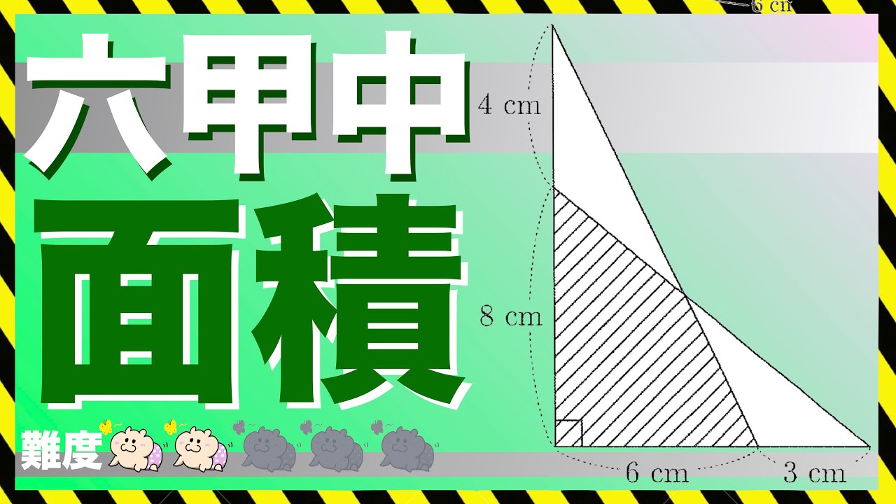 図形問題【直角三角形】六甲中学校