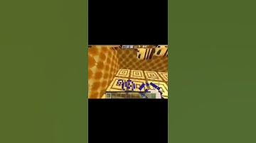what is inside a bee nest #minecraft #shorts #funny