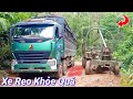 Xe Reo 3 Cầu Kéo 3 Chiếc Xe 4 Giò Chở Gỗ Cực Nặng Đường Lầy | SINOTRUCK Howo Truck