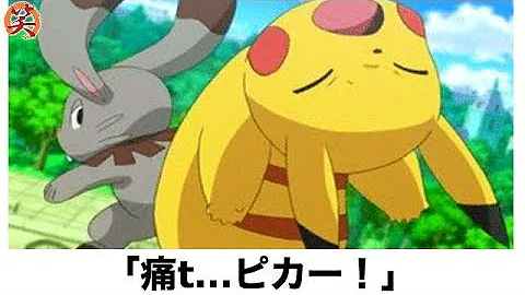 面白い ポケモン 画像