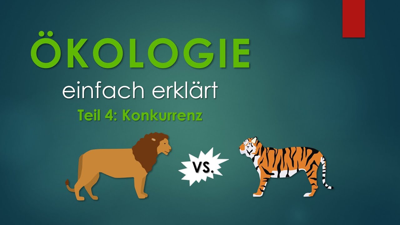 4-konkurrenz-kologie-einfach-erkl-rt-youtube