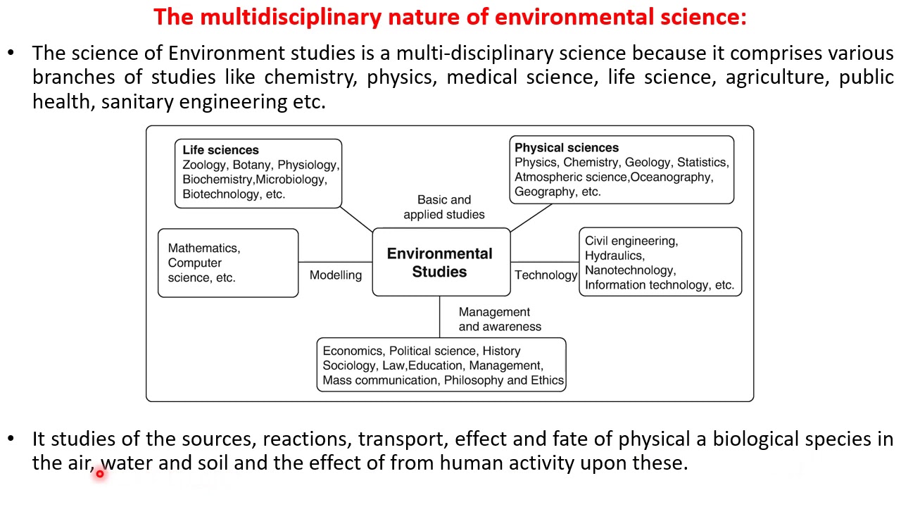 case study on environmental science