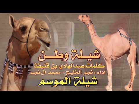 شيلة وطن الخليج وان حضرو عندها الخوار شاشو سوا اداء محمد ال نجم 2017