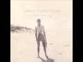 Angus & Julia Stone - Take You Away