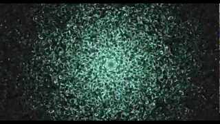 C&D - Project The Chase