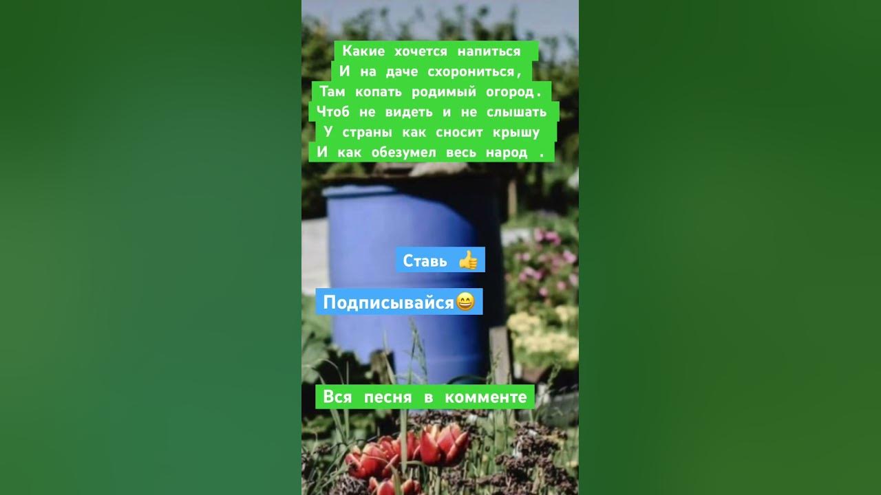 Песня Дачника -6. Про ТУРБОПАТРИОТОВ. - YouTube