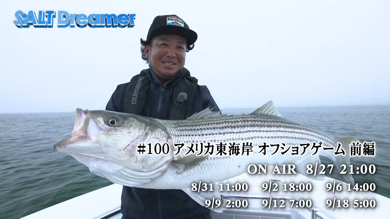 YouTube_TSNgibbFbfoサムネイル