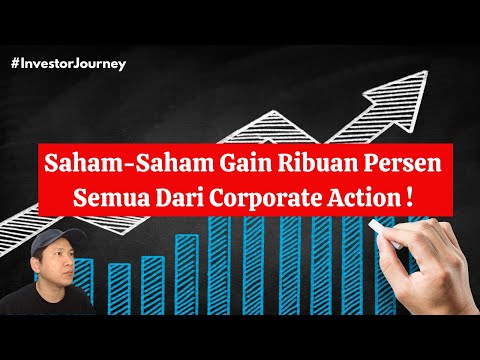Bedah 15 Saham Top Gainers 2024