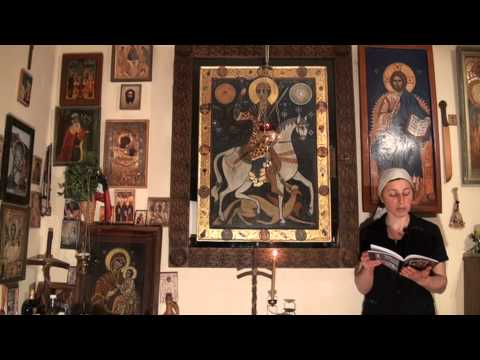 ვეფხისტყაოსანი წმინდა გიორგის ხატის დაუჯდომელი.ამონარიდი№2