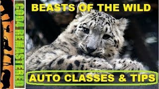 AUTO CLASSES & TIPS (FINNTROLL 1984'S BEASTS OF THE WILD #1 ANIMAL OVERDOSE COD4 MWR)