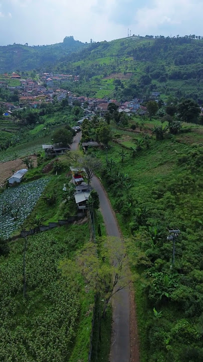 Indahnya pemandangan di Jalan Ciharalang, Bandung🍃🌳 #bandung #drone #dji #alam