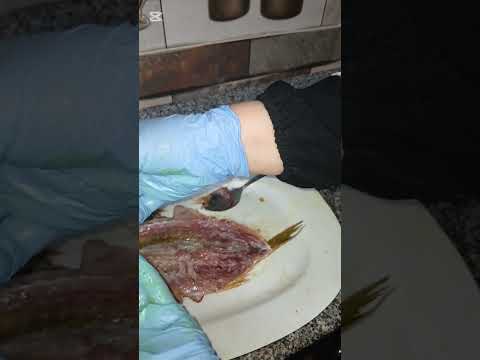 عملت من الفسيخ شربات وأم مكه هتزعل مني ياجماعه اكسبلور