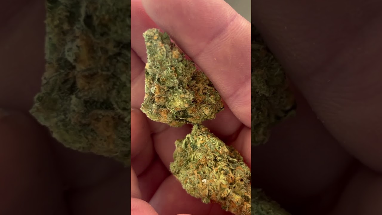 Glorious Cannabis Co. | GMO Fuel | 