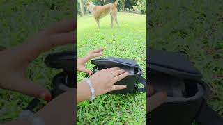 drone video  #reels #shorts #djidrone  #shortvideo  #quickdroneviews