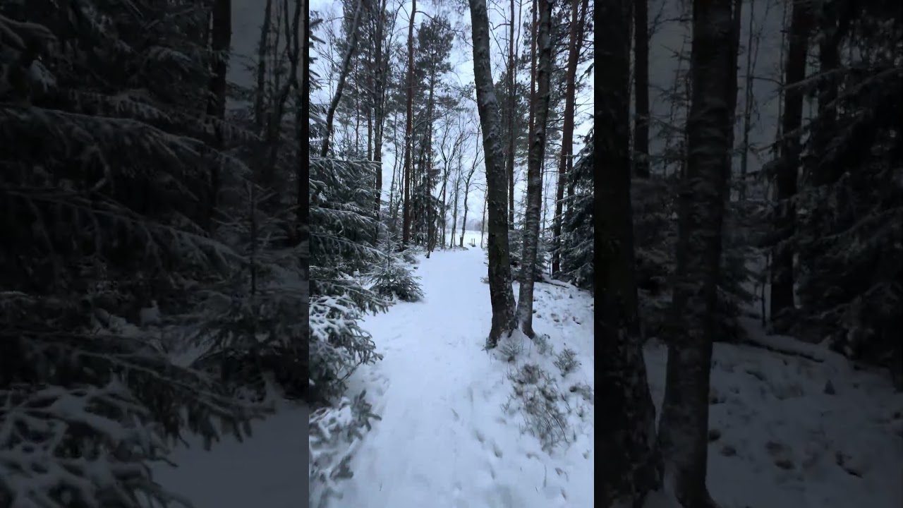 Гарна локація для прогулянки 