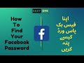 How To Find Your Facebook Password | Apna Facebook Password Kiase Pata Kare | View Your FB Password