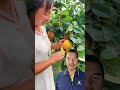 OMG k saro technology use garxhan k chine wola #fruit #aggi #guar #agriculture #trending