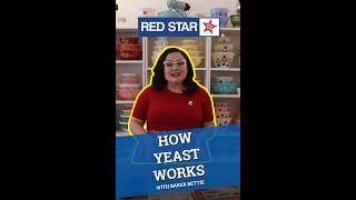 Famous Yeast 101: How Does Yeast Work? Net Worth