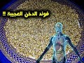 فوائد الدخن لبشرة مشدودة، ويأخر من علامات تقدم السن  | الدخن يحفز الحليب ؟