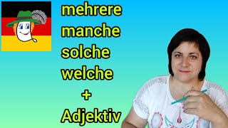 102. Mehrere, solche, welche, wenige, einige, beide, jene, jede + Adjektiv