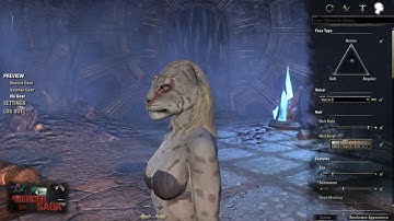 The Elder Scrolls Online // Female Khajiit Character Creation [Closed Beta]