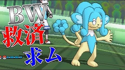 バオッキー Youtube