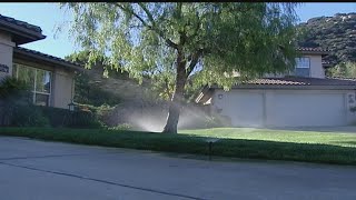 Californians could see mandatory water cuts amid drought