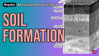 AP Environmental Science - Soil Formation & Composition