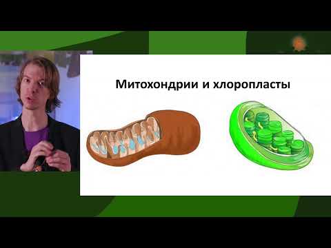 Происхождение жизни. ONLINE-трансляция с Ярославом Поповым