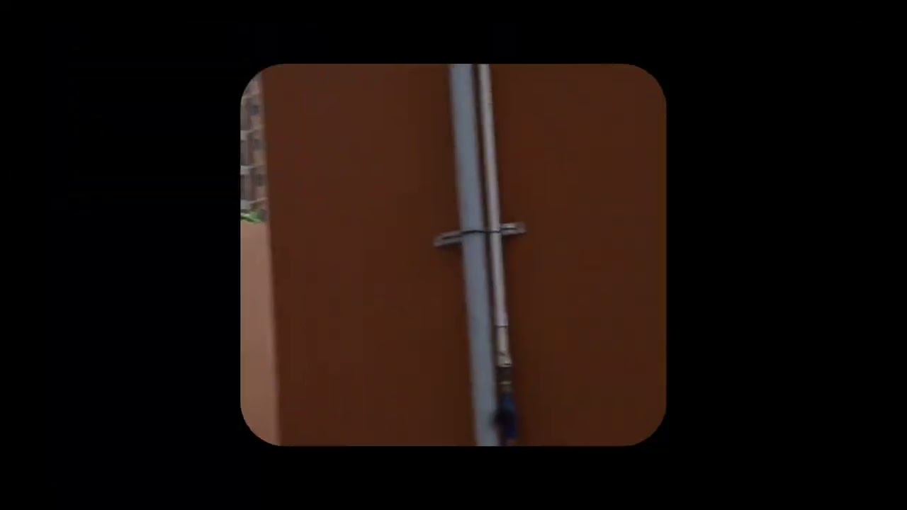 Bhuter Raja Dilo Bor  Birthday New Town Branch 2024 May 5