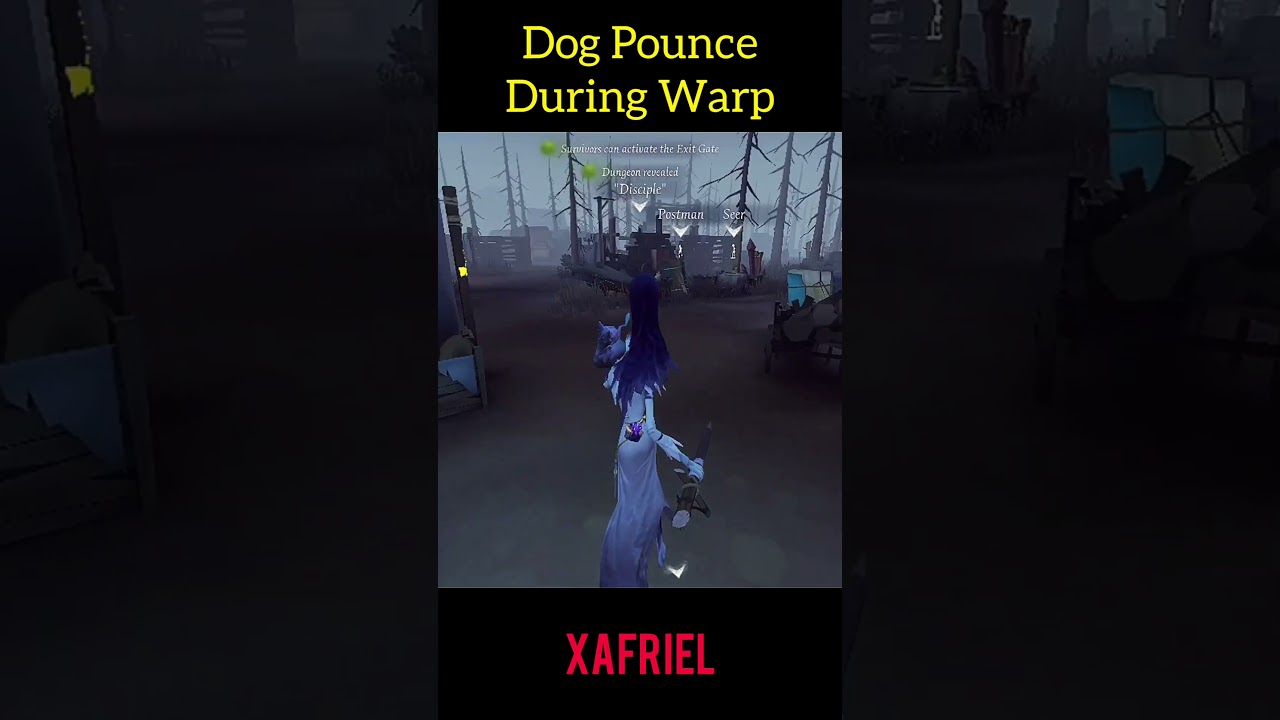 Dog Pounce During Warp