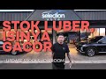 DICARI PENAMPUNG KARENA STOK SHOWROOM KEPENUHAN⁉️⁉️⁉️ || Update Stock Showroom 20 May 2025