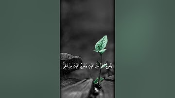راحه نفسيه🖤🔥|مقاطع قرآن قصيره| استوريات انستا قرآن | تلاوه خاشعه |ستوريات قرآن وتخرج الحي من الميت